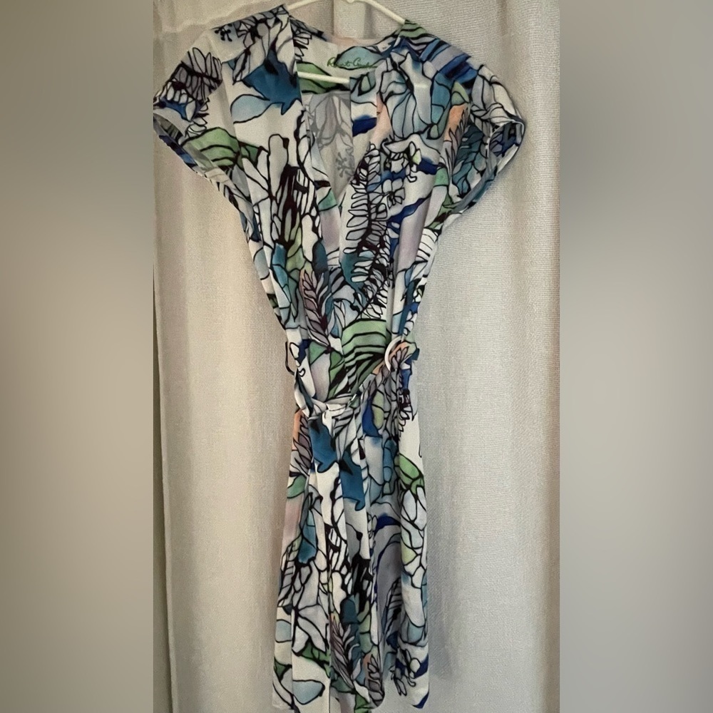 Robert Graham Caitlin shift dress; self tie belt; split neck; floral pattern - Picture 3 of 6
